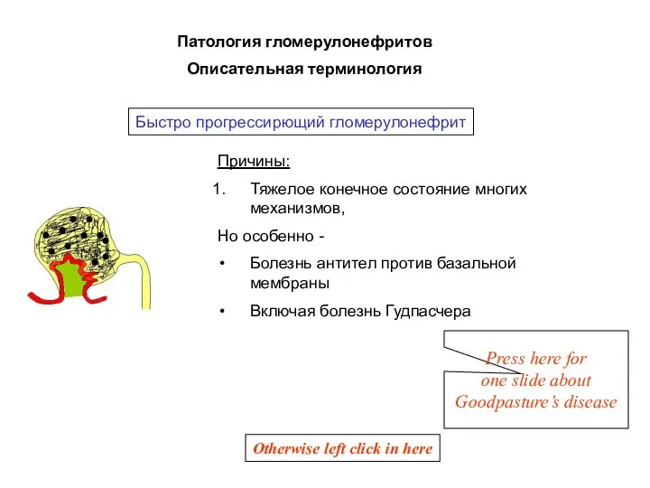 Причины: Тяжелое конечное состояние многих механизмов, Но особенно - Болезнь антител