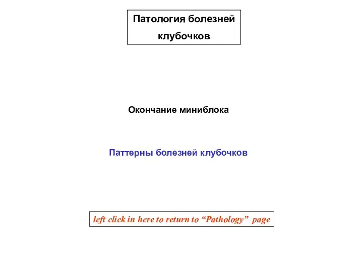 Окончание миниблока Патология болезней клубочков Паттерны болезней клубочков left click in