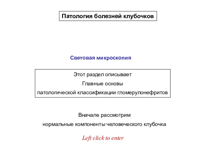 Left click to proceed Патология болезней клубочков Световая микроскопия Этот раздел