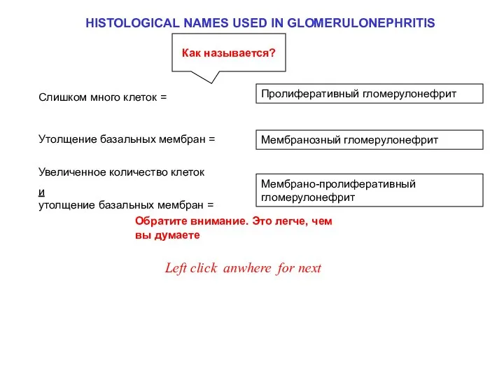 HISTOLOGICAL NAMES USED IN GLOMERULONEPHRITIS Мембранозный гломерулонефрит Пролиферативный гломерулонефрит Мембрано-пролиферативный гломерулонефрит