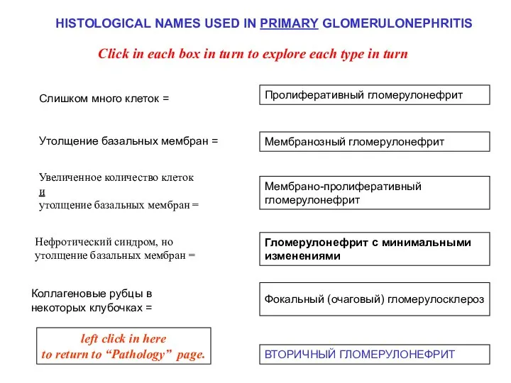 HISTOLOGICAL NAMES USED IN PRIMARY GLOMERULONEPHRITIS Click in each box in