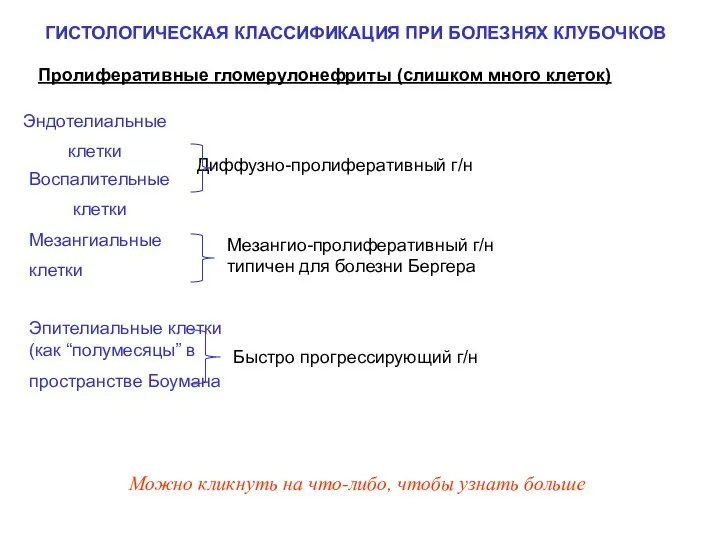 Эпителиальные клетки (как “полумесяцы” в пространстве Боумана Диффузно-пролиферативный г/н Пролиферативные гломерулонефриты