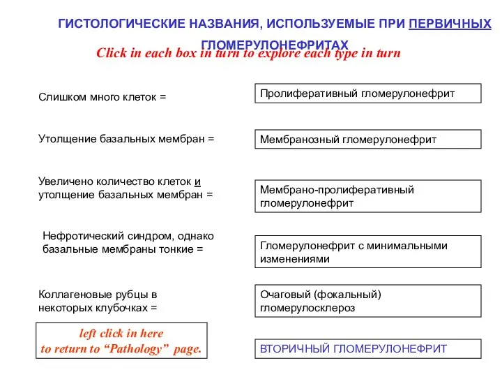 ГИСТОЛОГИЧЕСКИЕ НАЗВАНИЯ, ИСПОЛЬЗУЕМЫЕ ПРИ ПЕРВИЧНЫХ ГЛОМЕРУЛОНЕФРИТАХ Мембранозный гломерулонефрит Пролиферативный гломерулонефрит Мембрано-пролиферативный