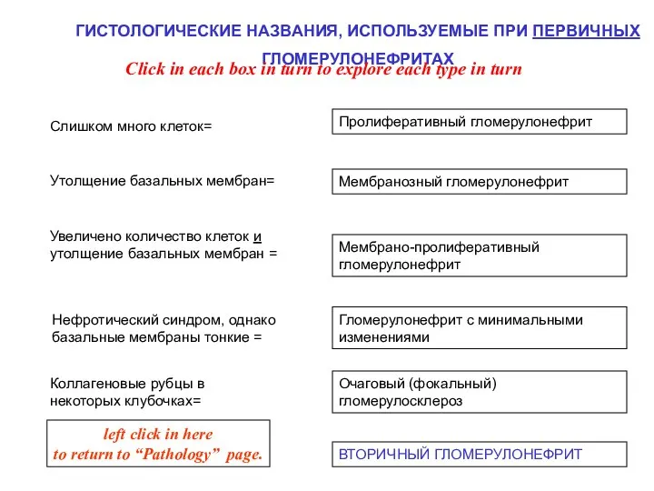 ГИСТОЛОГИЧЕСКИЕ НАЗВАНИЯ, ИСПОЛЬЗУЕМЫЕ ПРИ ПЕРВИЧНЫХ ГЛОМЕРУЛОНЕФРИТАХ Мембранозный гломерулонефрит Пролиферативный гломерулонефрит Мембрано-пролиферативный