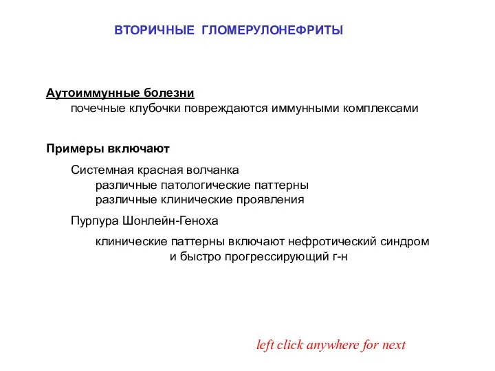 Аутоиммунные болезни почечные клубочки повреждаются иммунными комплексами ВТОРИЧНЫЕ ГЛОМЕРУЛОНЕФРИТЫ left click