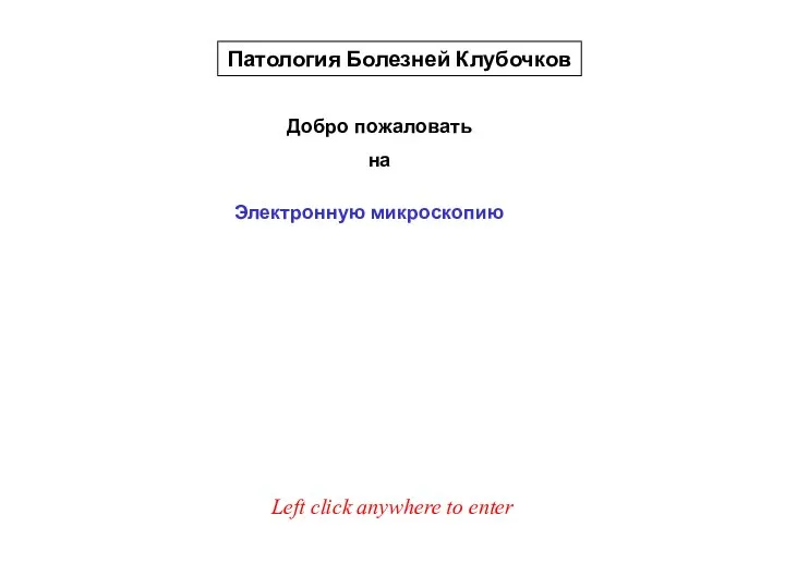 Добро пожаловать на Патология Болезней Клубочков Электронную микроскопию Left click anywhere to enter