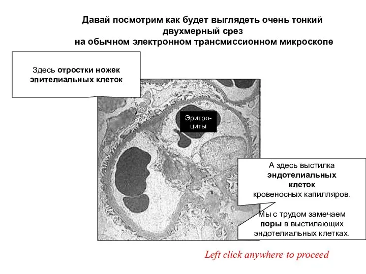 Left click anywhere to proceed Давай посмотрим как будет выглядеть очень