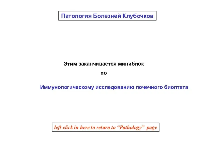 Этим заканчивается миниблок по Патология Болезней Клубочков Иммунологическому исследованию почечного биоптата