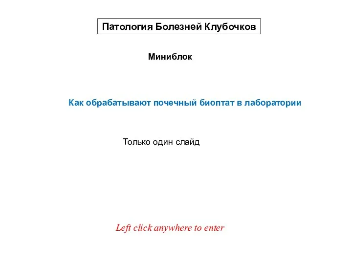 Миниблок Патология Болезней Клубочков Как обрабатывают почечный биоптат в лаборатории Left