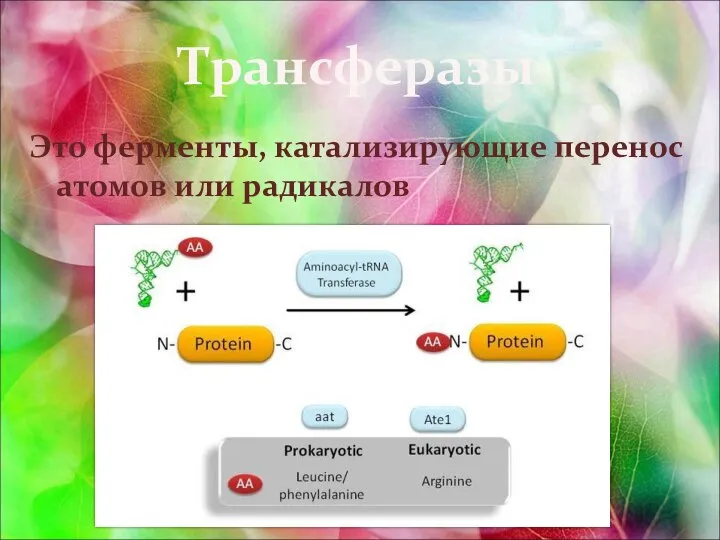 Трансферазы Это ферменты, катализирующие перенос атомов или радикалов