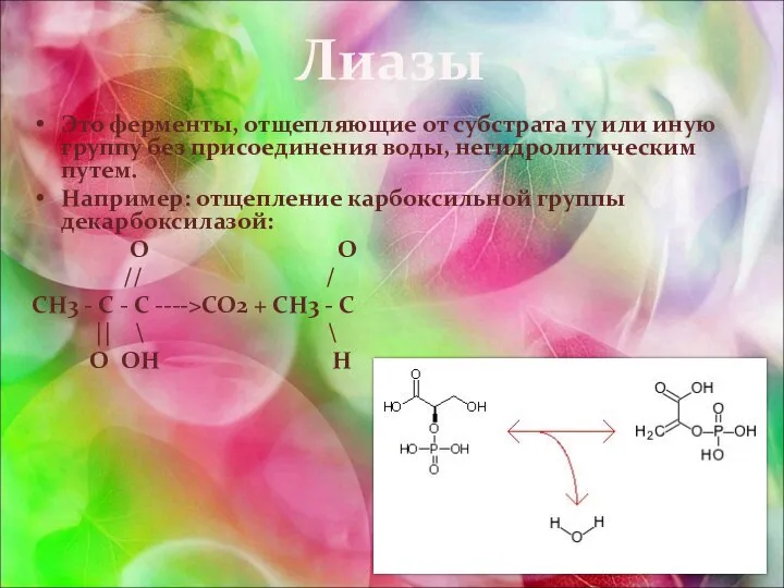 Лиазы Это ферменты, отщепляющие от субстрата ту или иную группу без