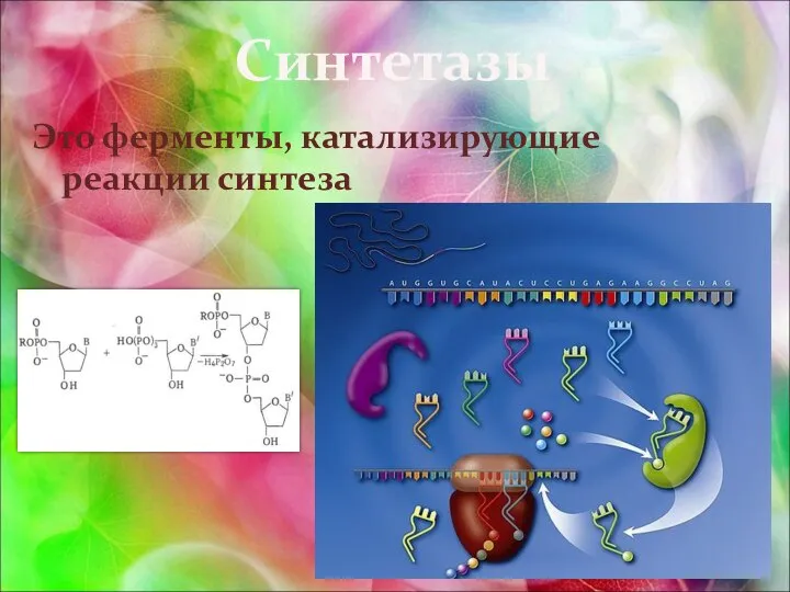 Синтетазы Это ферменты, катализирующие реакции синтеза