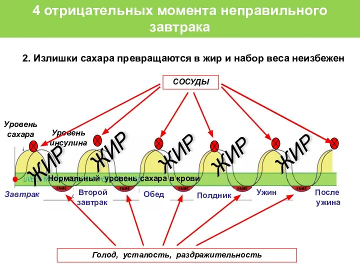 2. Излишки сахара превращаются в жир и набор веса неизбежен 4 отрицательных момента неправильного завтрака