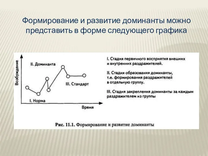 Формирование и развитие доминанты можно представить в форме следующего графика