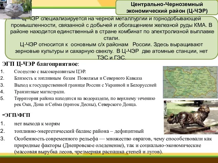 ЭГП Ц-ЧЭР благоприятное: Соседство с высокоразвитым ЦЭР. Близость к топливным базам