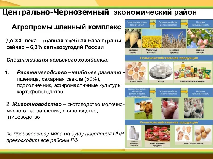 Агропромышленный комплекс До ХХ века – главная хлебная база страны, сейчас