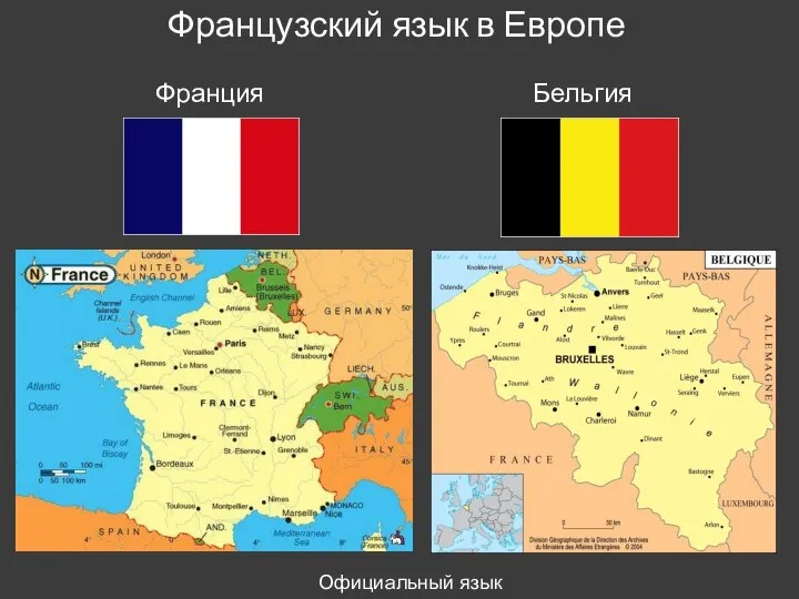 Французский язык в Европе Франция Бельгия Официальный язык