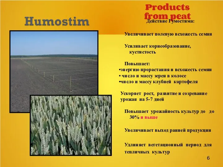 Products from peat Действие Гумостима: Увеличивает полевую всхожесть семян Усиливает корнеобразование,