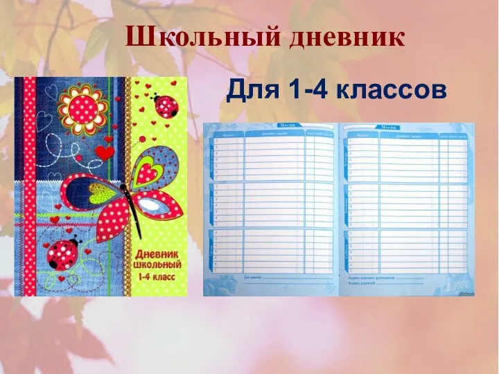 Школьный дневник Для 1-4 классов