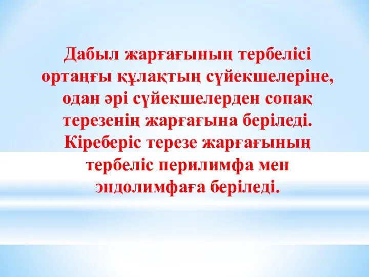 Дабыл жарғағының тербелісі ортаңғы құлақтың сүйекшелеріне, одан әрі сүйекшелерден сопақ терезенің