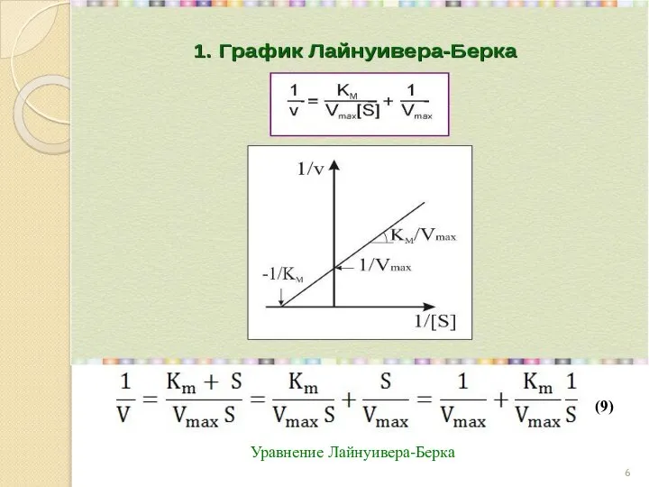 (9) Уравнение Лайнуивера-Берка