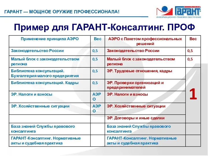 Пример для ГАРАНТ-Консалтинг. ПРОФ