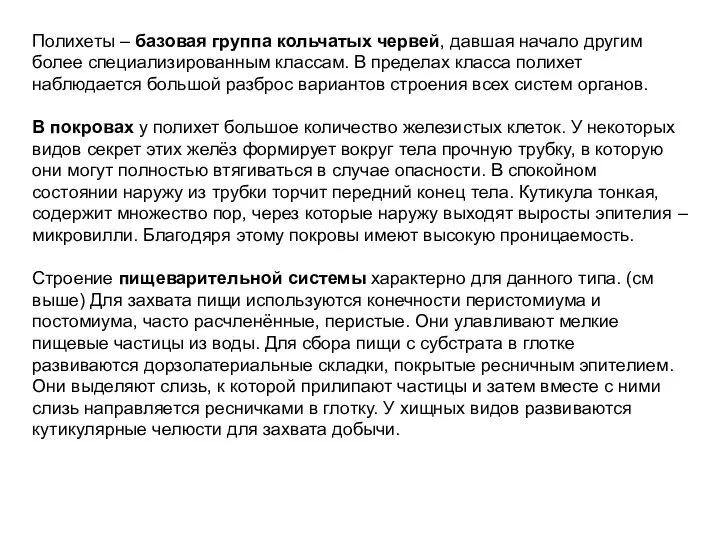 Полихеты – базовая группа кольчатых червей, давшая начало другим более специализированным