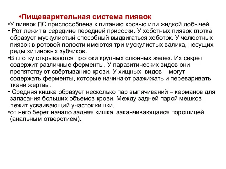 Пищеварительная система пиявок У пиявок ПС приспособлена к питанию кровью или