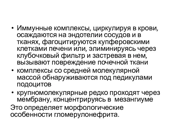 Иммунные комплексы, циркулируя в крови, осаждаются на эндотелии сосудов и в