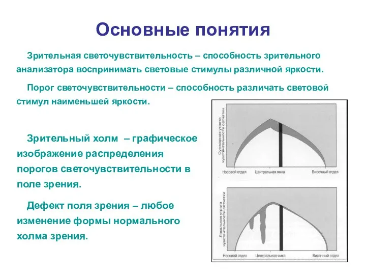 Зрительный холм – графическое изображение распределения порогов светочувствительности в поле зрения.