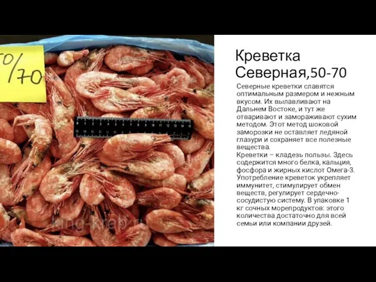 Креветка Северная,50-70 Северные креветки славятся оптимальным размером и нежным вкусом. Их