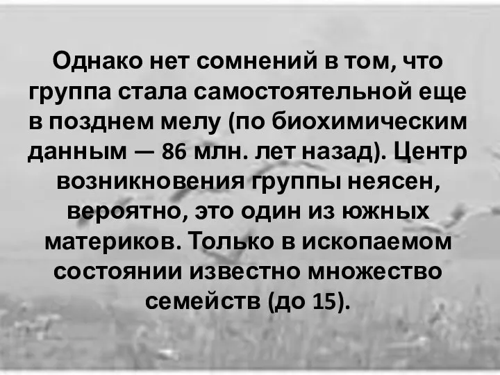 Однако нет сомнений в том, что группа стала самостоятельной еще в