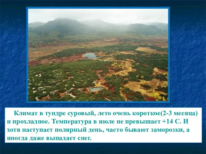 Климат в тундре суровый, лето очень короткое(2-3 месяца) и прохладное. Температура