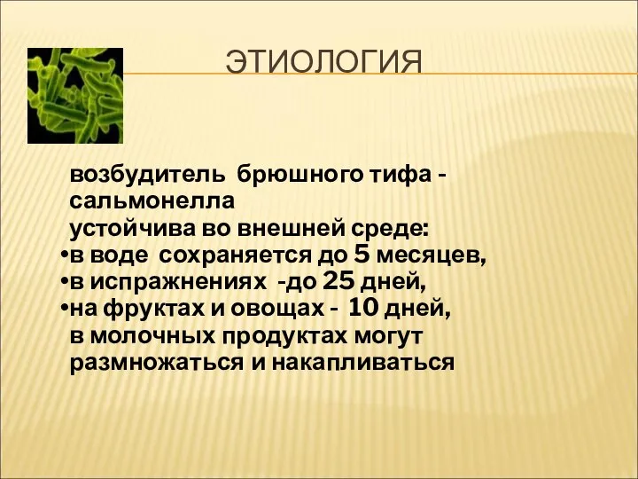 ЭТИОЛОГИЯ возбудитель брюшного тифа - сальмонелла устойчива во внешней среде: в