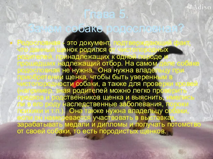 Глава 5. Зачем собаке родословная? Родословная - это документ, подтверждающий факт,