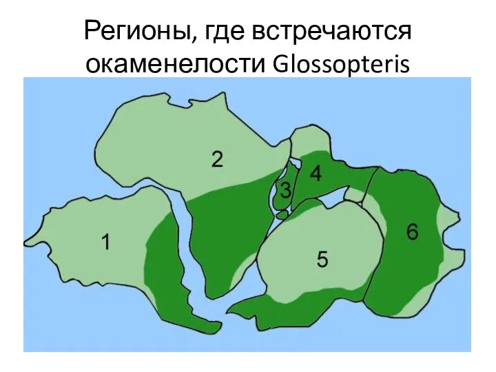 Регионы, где встречаются окаменелости Glossopteris