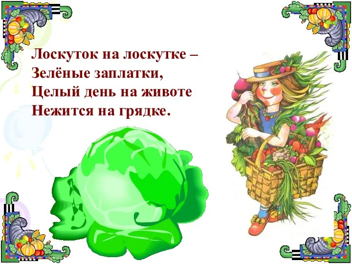 Лоскуток на лоскутке – Зелёные заплатки, Целый день на животе Нежится на грядке.