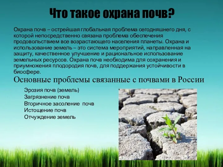 Что такое охрана почв? Охрана почв – острейшая глобальная проблема сегодняшнего