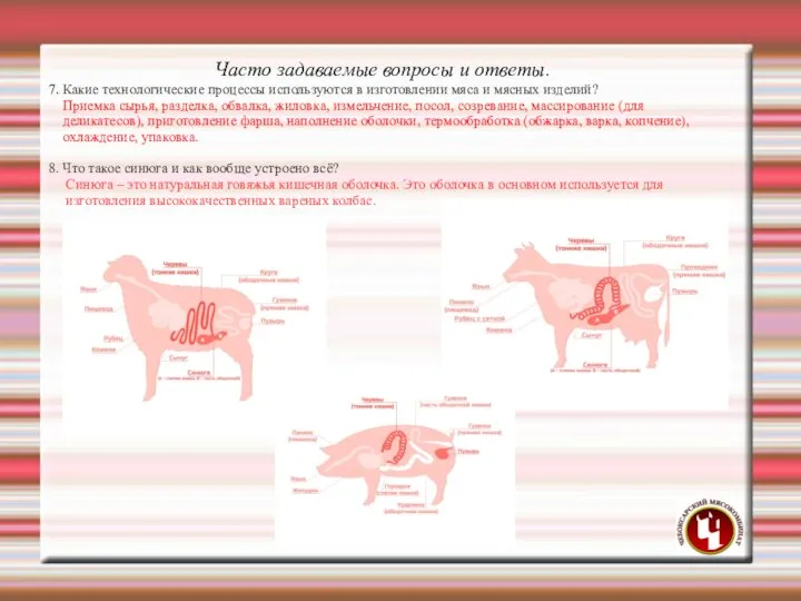 7. Какие технологические процессы используются в изготовлении мяса и мясных изделий?