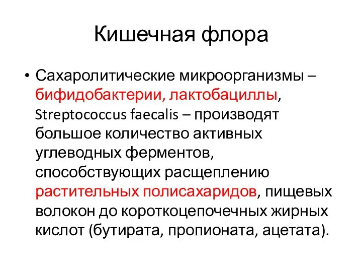 Кишечная флора Сахаролитические микроорганизмы – бифидобактерии, лактобациллы, Streptococcus faecalis – производят