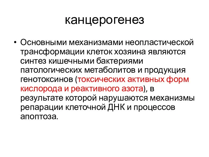 канцерогенез Основными механизмами неопластической трансформации клеток хозяина являются синтез кишечными бактериями