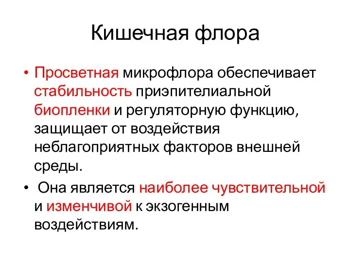 Кишечная флора Просветная микрофлора обеспечивает стабильность приэпителиальной биопленки и регуляторную функцию,