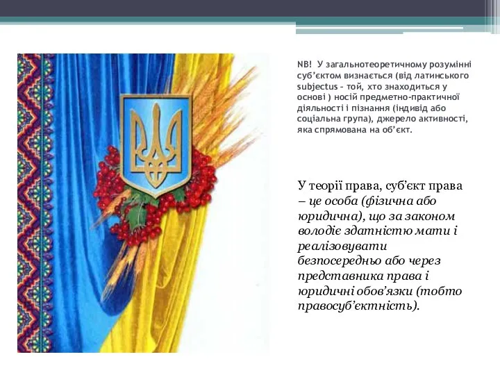 NB! У загальнотеоретичному розумінні суб’єктом визнається (від латинського subjectus – той,