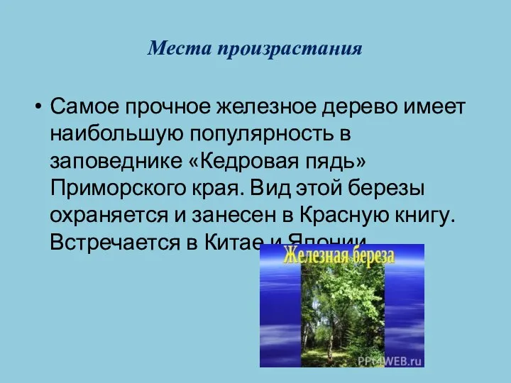 Места произрастания Самое прочное железное дерево имеет наибольшую популярность в заповеднике