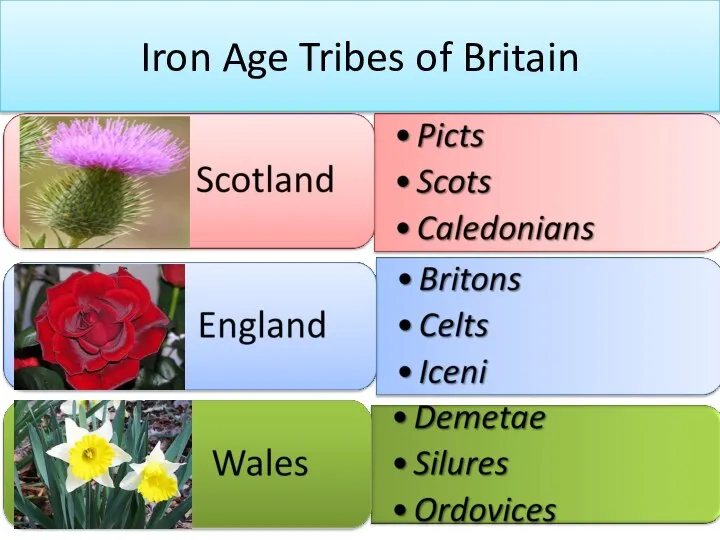 Iron Age Tribes of Britain