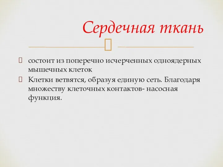 состоит из поперечно исчерченных одноядерных мышечных клеток Клетки ветвятся, образуя единую