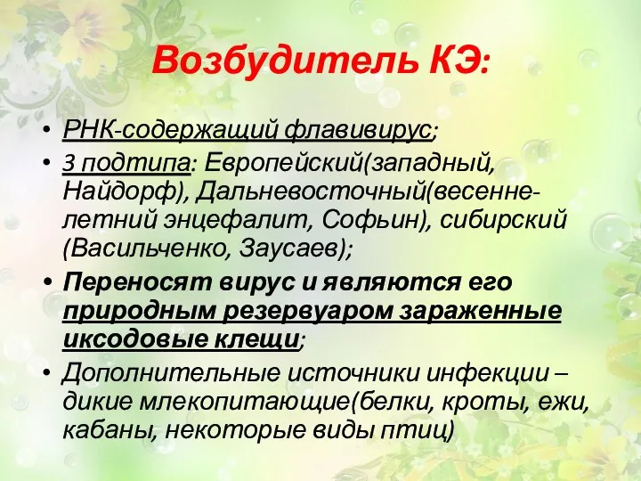 Возбудитель КЭ: РНК-содержащий флавивирус; 3 подтипа: Европейский(западный, Найдорф), Дальневосточный(весенне-летний энцефалит, Софьин),