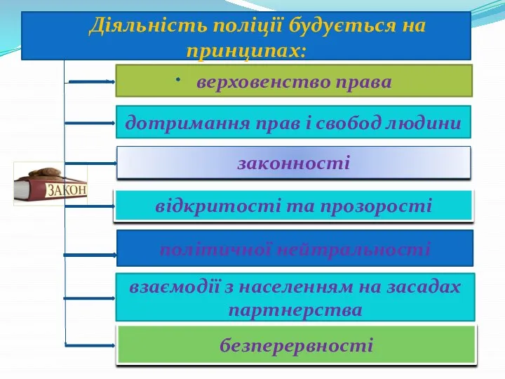 верховенство права дотримання прав і свобод людини законності відкритості та прозорості