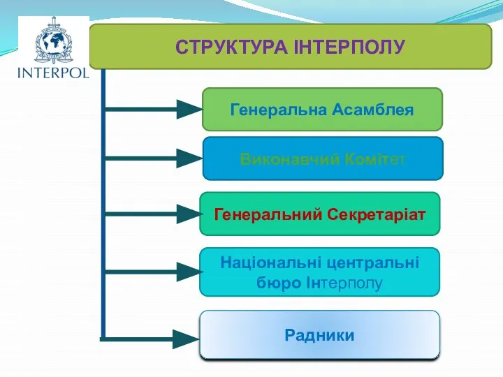 СТРУКТУРА ІНТЕРПОЛУ Генеральна Асамблея Виконавчий Комітет Генеральний Секретаріат Національні центральні бюро Інтерполу Радники