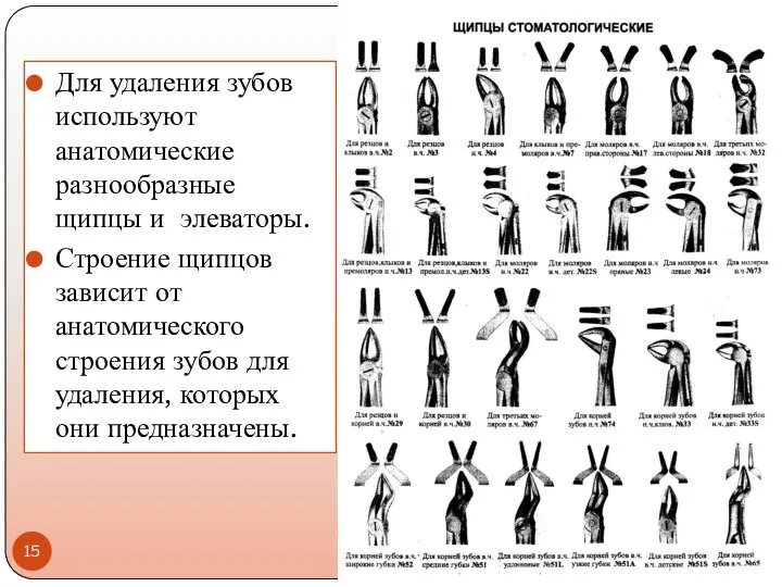 Для удаления зубов используют анатомические разнообразные щипцы и элеваторы. Строение щипцов